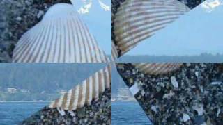 Maranatha Singers-  Seek Ye First The Kingdom Of God