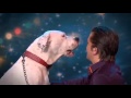 Dog sings I Will Always Love You by Whitney ...