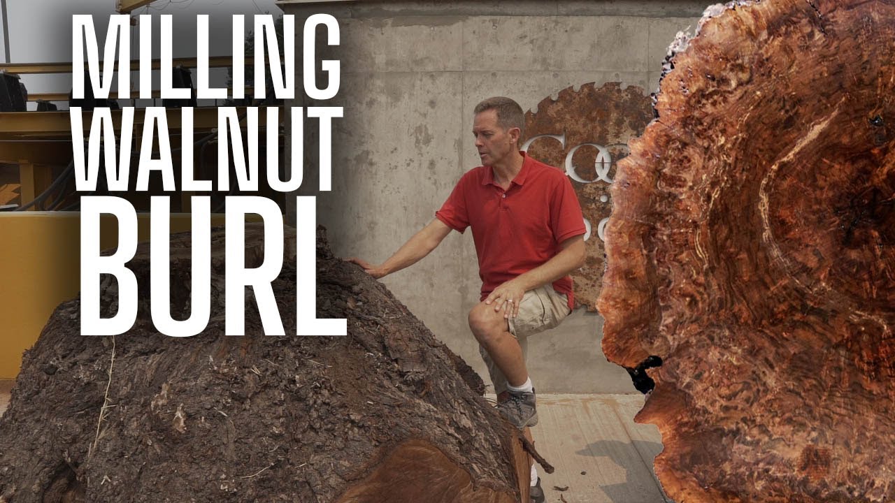 Milling Walnut Burl for Woodturning