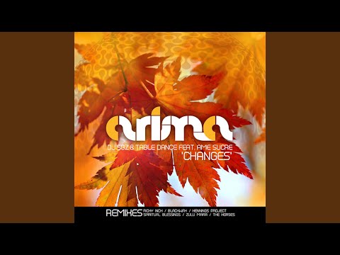 Changes (The Horses Stepped In The Remix)