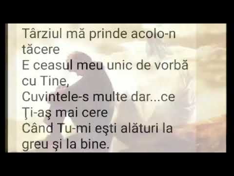 O RUGĂ DE SEARĂ -Emil Rarinca & Timotei Ionescu