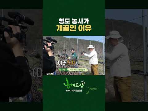 귀농인들은 왜 청도에 주목할까?