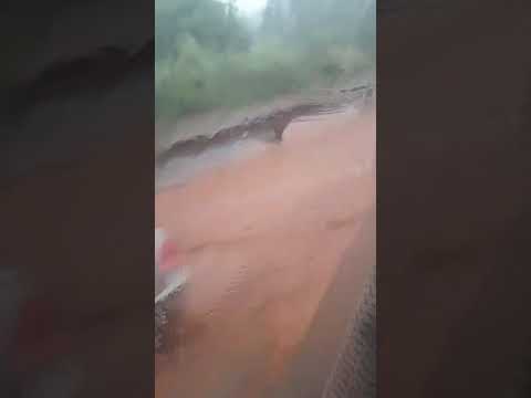 CHUVA COM FORÇA A CAMINHO DA ROÇA, REGIÃO DE NOVO HORIZONTE,   NO INTERIOR DE SÃO PAULO...