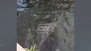 CORPO DE HOMEM É ENCONTRADO BOIANDO EM RIO DE COREMAS : VÍDEO ...