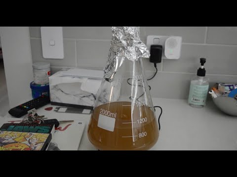 HBW 44 - Making a starter.