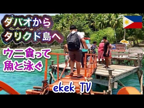 [Turismo nas Filipinas] Praia paradisíaca! De Davao à Ilha Talikud (Parte 1) “Comer ouriços-do-mar e nadar com cardumes de peixes”