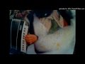Robert Pollard - The Spanish Hammer - She Drives Camaro _ Lift _ Love Set _ Wildlife Energy