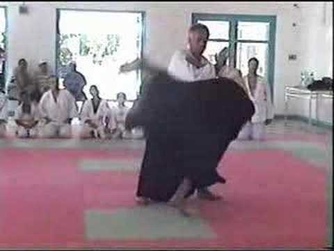 extrait du stage aikido avec michel benard - summer 2007