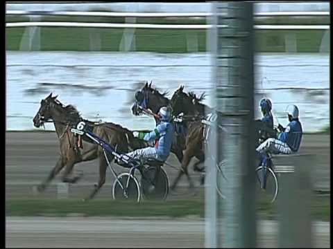 Trotto 04/03/2016 - 1° corsa