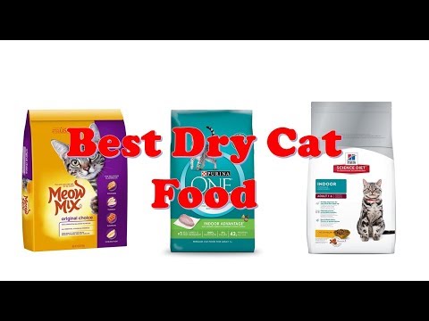 Best Dry Cat Food 2022 [ Top 10 Dry Cat Food Picks ]