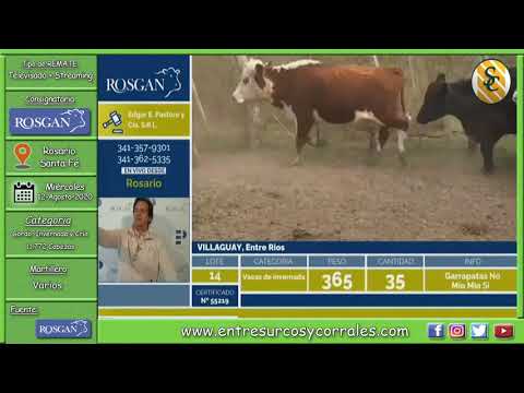 12-08-20 - Remate Televisado de Rosgan - Rosario, Santa Fé