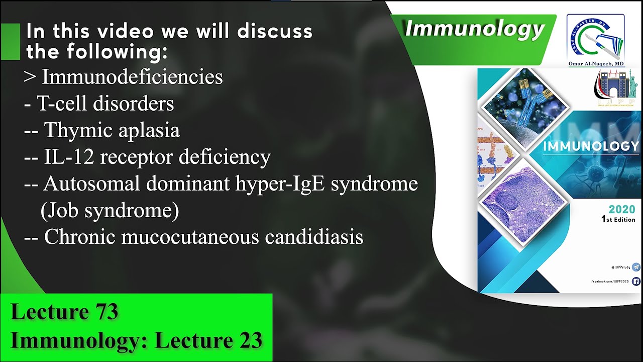 Thymic aplasia || Hyper IgE syndrome (Job syndrome) || Chronic mucocutaneous candidiasis