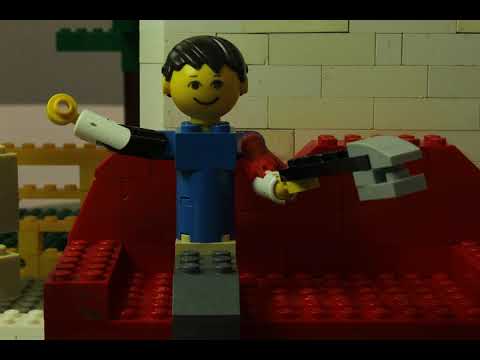 Lego® Animals playing football - test video of 40secs at 25fps
