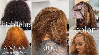 Full Color Correction on natural Curly Hair | Highlights & Dimensional Color Transformation