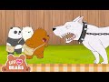 The Ultimate Paper Route Adventure We Bare Bears Cartoon Network