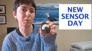 2-Hour Sensor Warm-Up Explained | Medtronic MiniMed 780G & Guardian 4 CGM