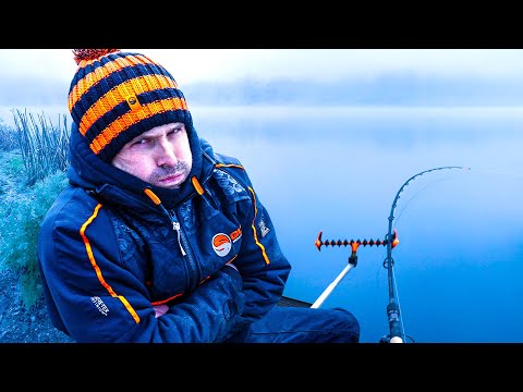 Never Blank Again: The Winter Carp Tactic That Actually Works