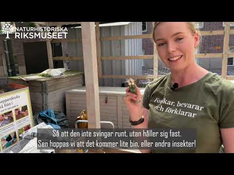 Göra eget bi-hotell