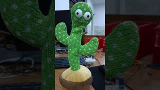 #talking cactus 🌵 repeat voice when u say something #shorts #shortsfeed #shortsvideo #ytshorts