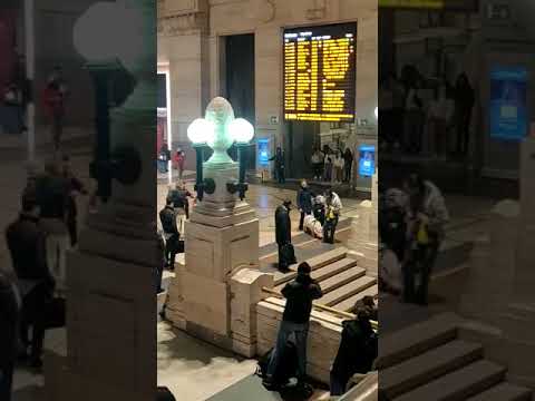 Un maiale in Stazione Centrale. Per strapparci un sorriso