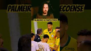 Dublagem da polêmica de Palmeiras X Chapecoense! #dublagem #palmeiras #brasileirão #futebol