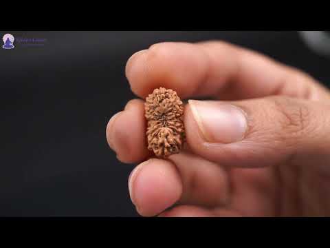 Rudraksha Product Image