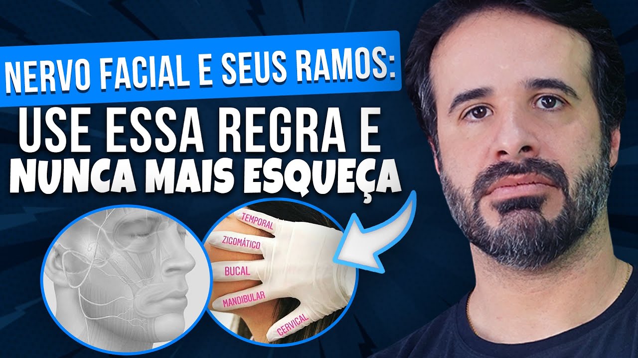 NERVO FACIAL E SEUS RAMOS USE ESSA REGRA E NUNCA MAIS ESQUEÇA