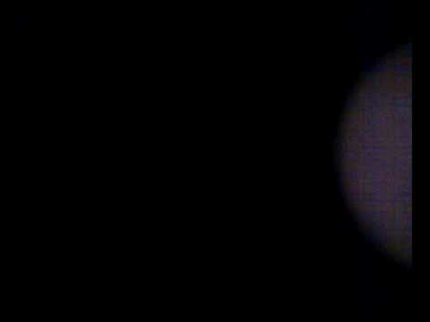 kenny knots backed by mungos hifi