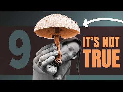 9 Myths About Mushrooms BUSTED For Good
