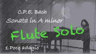 C.P.E.バッハ 無伴奏フルートソナタ イ短調 1.Poco adagio/Sonata in A minor (Wq.132)