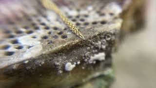 How to Solder a Gold Chain | JCA