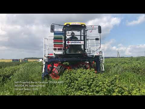 Récolteuse automotrice de baies OSKAR 4WD - Jagoda JPS - Productivité 0,5 ha/h - Précision jusqu'à 98% - Moteur Doosan 74 CV_4