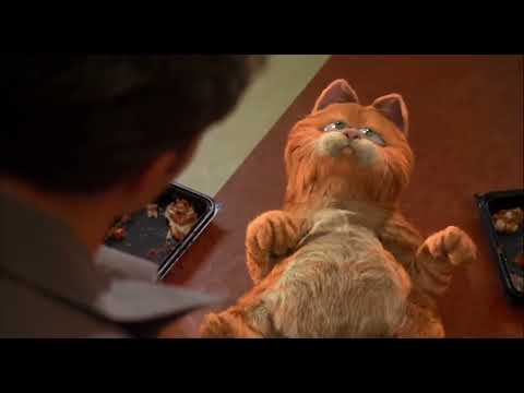 Garfield La película : Garfield Comio 4 Cajas de Lasaña