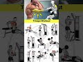 Triceps Workout At Gym Best Triceps Workout Triceps Exercises Build Bigger Triceps Arms