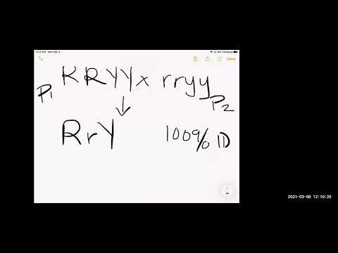 Ch 2 Brooker Genetics Patterns of Inheritance PLNT SC 726 Senn