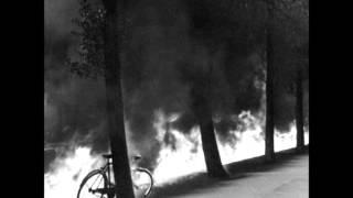 Paint it Black - Greetings, Fellow Insomniacs