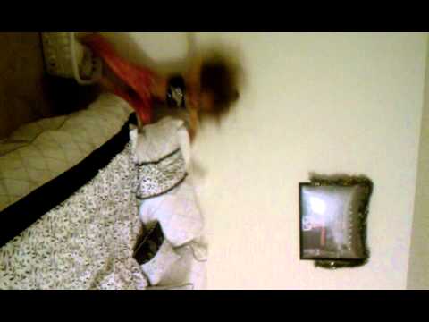 Laney Madsen Full on Bed