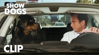 Show Dogs (2018) Video