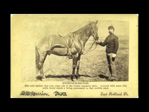 Granville Automatic - Comanche - Song about the horse, Custer, the Battle of Little Bighorn Big Horn