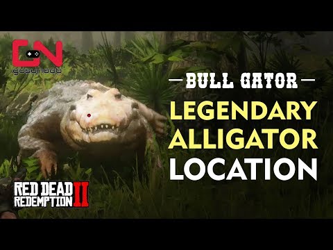 Red Dead Redemption 2 - Legendary Alligator Location - Bull Gator