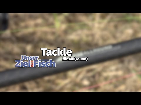 Tackle for coarse eel fishing - Our goal is fish