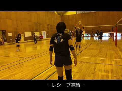 日本女子体育大学　バレーボール部