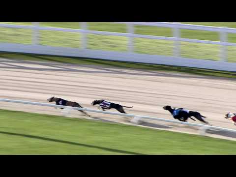 2017 STAR SPORTS DERBY - ROUND 1 HEAT 22 - T4 SWITHINS BRAE