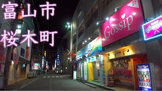 【富山】夜の桜木町【4K HDR】