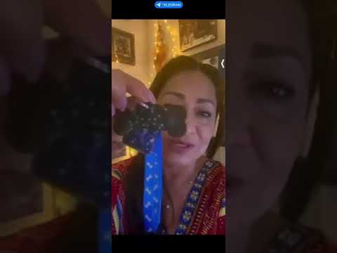 Efecto tranquilizador en un perro Chihuahua con el accesorio Cuántico