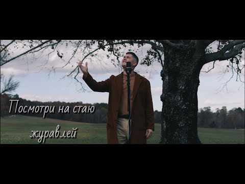 Посмотри на стаю журавлей - Зов Спасения || Call of Salvation.