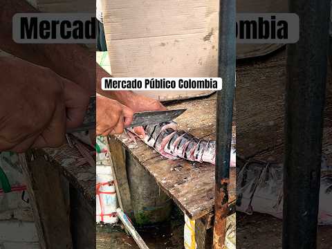 Mercado Público de Pescados de Magangué, Bolívar #viral #viralvideo #colombia #pescador #bocachico
