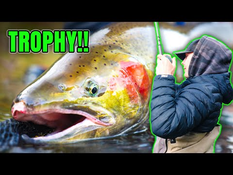 We Hooked Some MONSTERS! Late Winter Steelhead Fishing In The Jet Boat.