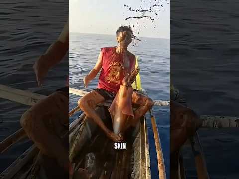 Why Do Fishermen Karate Chop Squid 🦑