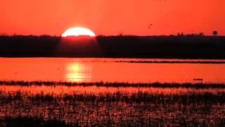 preview picture of video 'Sunset At Squaw Creek National Wildlife Refuge'